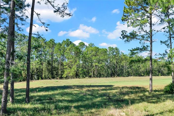 Image No.41-Propriété de 4 chambres à vendre à Davenport