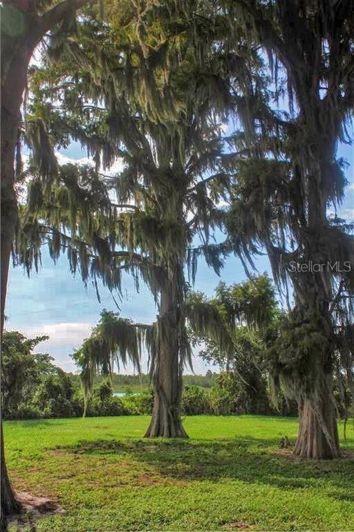 Image No.12-1 Bed House for sale