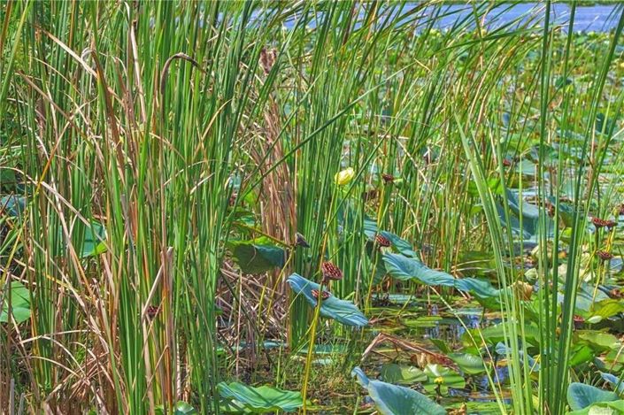 Image No.18-1 Bed Property for sale