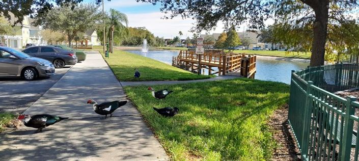 Image No.14-Maison de ville de 4 chambres à vendre à Kissimmee