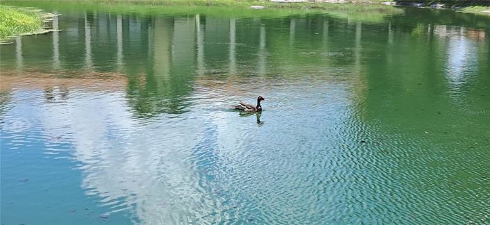 Image No.49-Propriété de 2 chambres à vendre à États-Unis