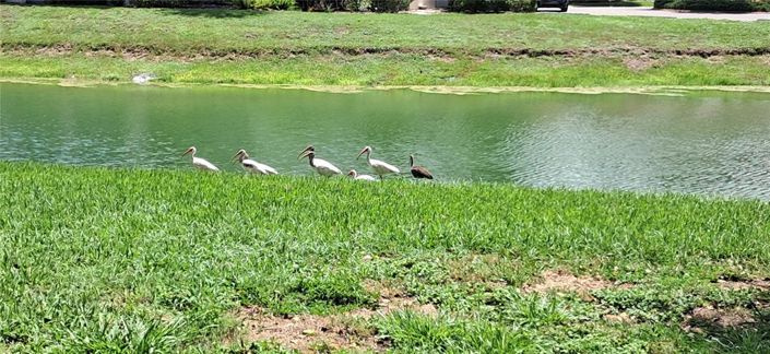 Image No.52-Appartement de 2 chambres à vendre à Saint John