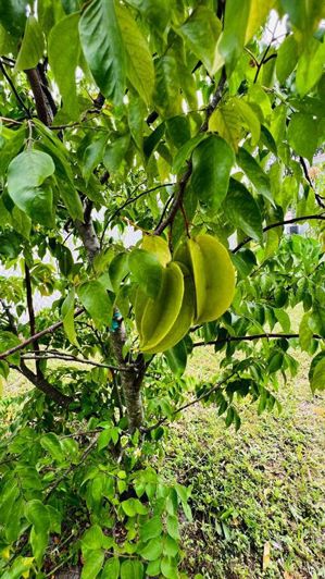 Image No.14-4 Bed Property for sale