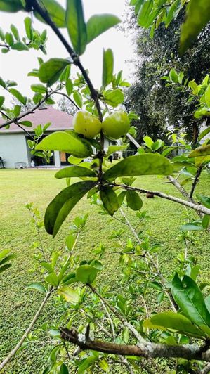 Image No.17-4 Bed Property for sale