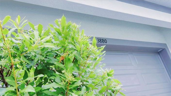 Image No.7-Maison de 15 chambres à vendre à Saint John