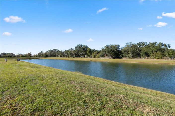 Image No.34-3 Bed House for sale