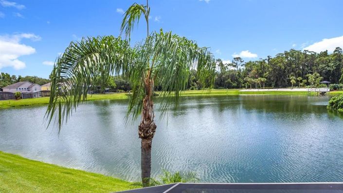 Image No.46-5 Bed House for sale