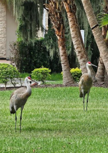 Image No.54-4 Bed House for sale