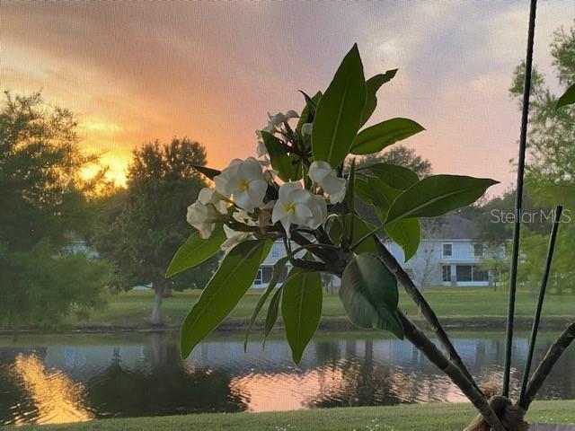 Image No.27-4 Bed House for sale