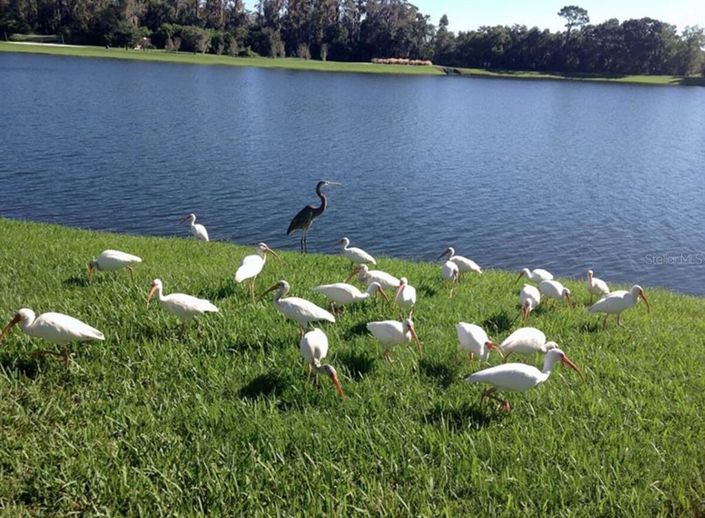 Image No.43-4 Bed House for sale