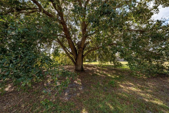 Image No.29-Maison de 4 chambres à vendre à Saint John