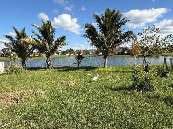 Image No.17-4 Bed House for sale