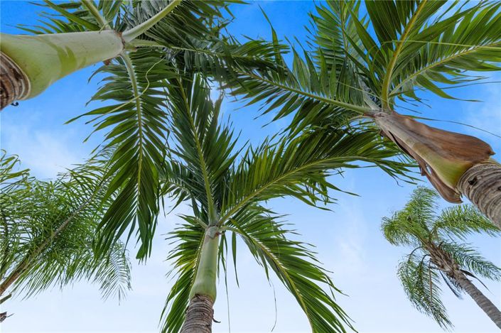 Image No.48-4 Bed House for sale