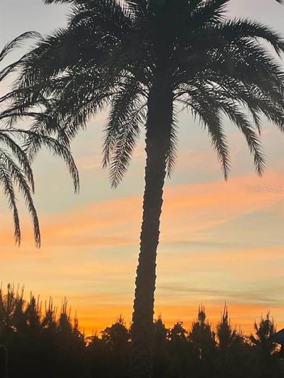 Image No.36-Maison de 2 chambres à vendre à Saint John