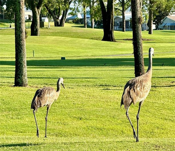 Image No.43-Maison de 2 chambres à vendre à Saint John