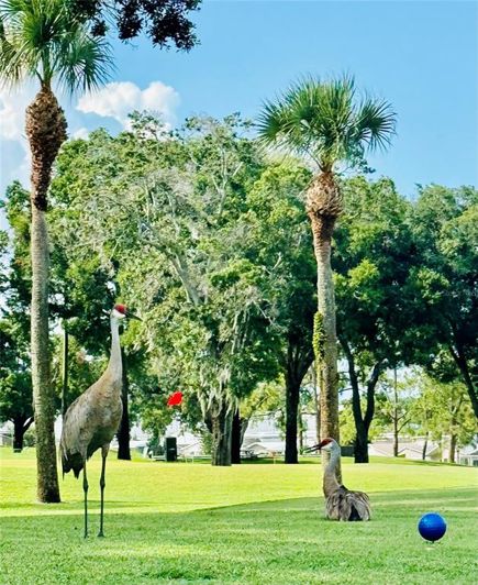 Image No.47-Maison de 2 chambres à vendre à Saint John