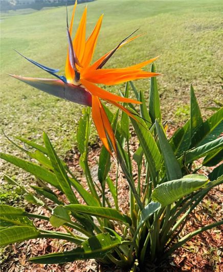 Image No.49-Maison de 2 chambres à vendre à Saint John