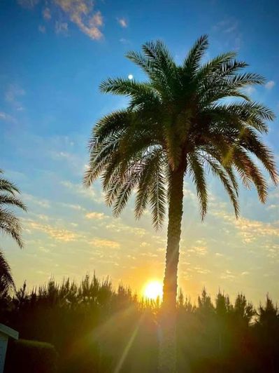 Image No.50-Maison de 2 chambres à vendre à Saint John