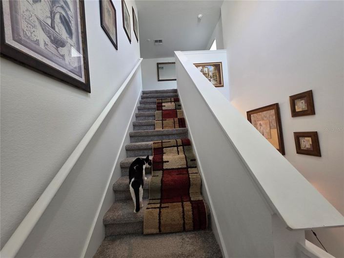 Image No.15-Maison de 4 chambres à vendre à Saint John