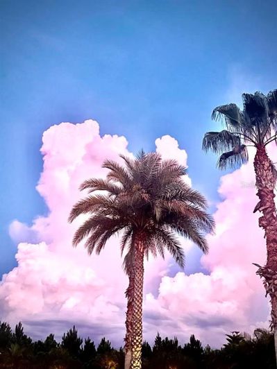 Image No.45-1 Bed House for sale