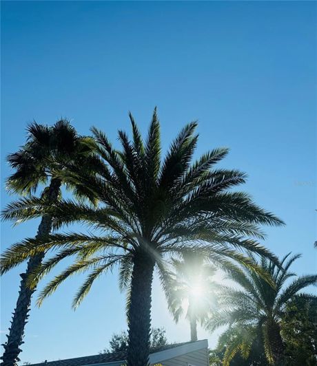 Image No.50-1 Bed House for sale