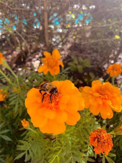 Image No.48-2 Bed Apartment for sale