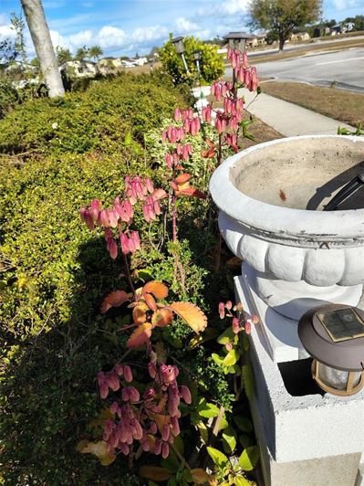 Image No.55-Maison de 3 chambres à vendre à Saint John