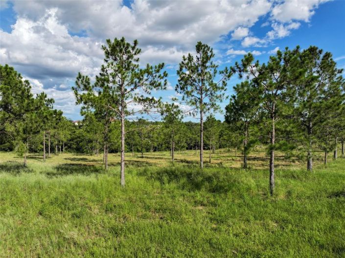 Image No.58-3 Bed House for sale