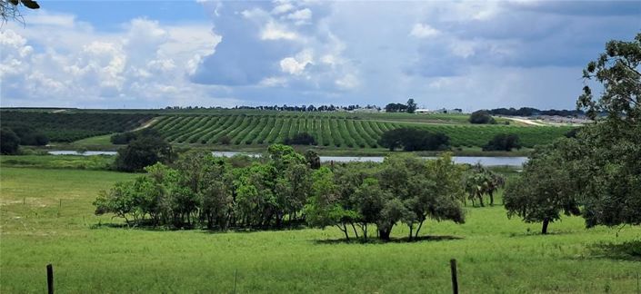 Image No.5-3 Bed House for sale