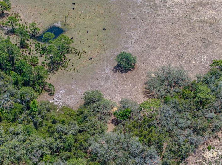 Image No.29-4 Bed House for sale