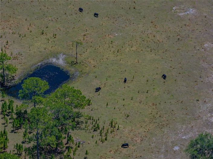 Image No.35-4 Bed House for sale