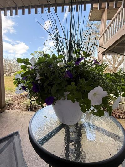 Image No.25-1 Bed Apartment for sale