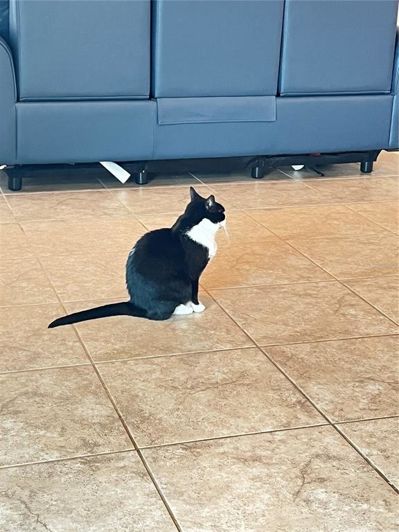 Image No.33-4 Bed House for sale