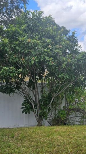 Image No.17-Maison de 4 chambres à vendre à Saint John