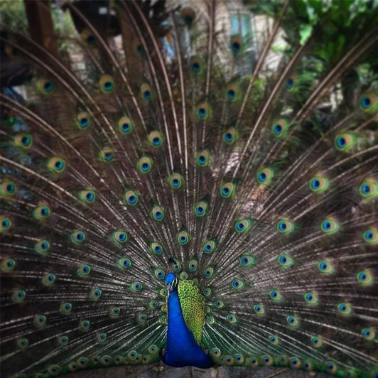 Image No.14-3 Bed House for sale