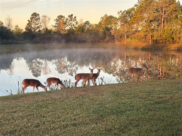 Image No.3-Villa de 2 chambres à vendre à Saint John