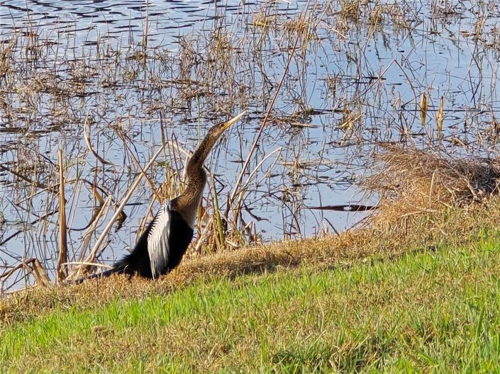 Image No.27-Maison de 3 chambres à vendre à Saint John