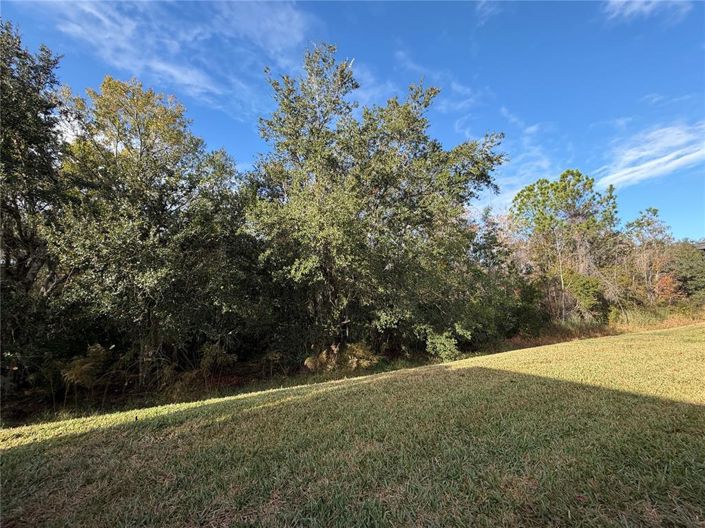 Image No.31-2 Bed House for sale