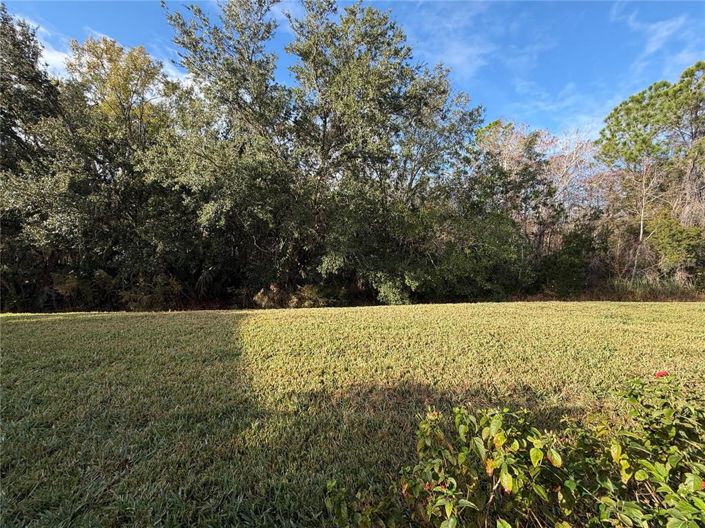 Image No.32-2 Bed House for sale