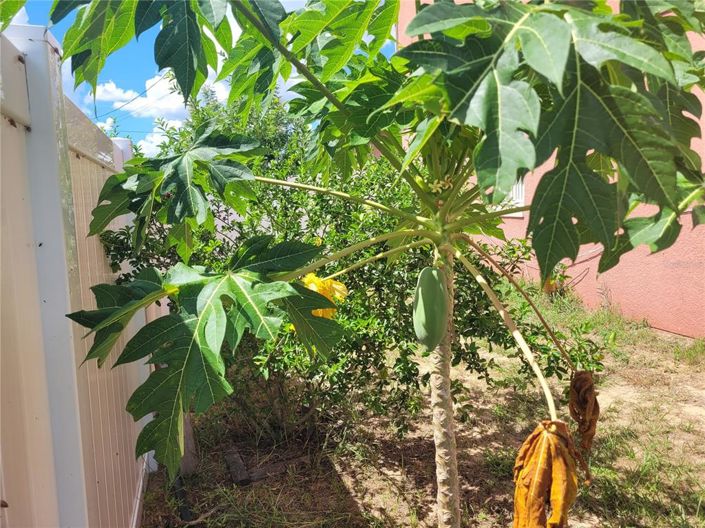 Image No.50-4 Bed House for sale