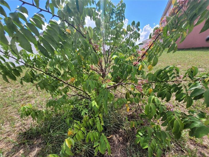 Image No.54-4 Bed House for sale