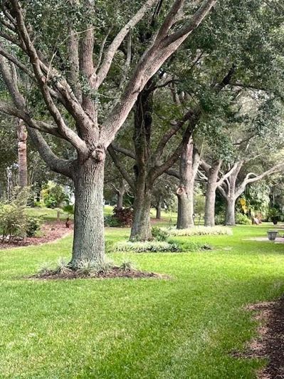 Image No.32-Maison de 2 chambres à vendre à Saint John
