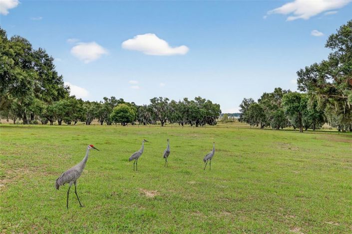 Image No.13-Maison de 4 chambres à vendre à Saint John