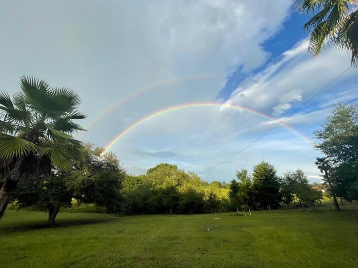 Image No.51-3 Bed House for sale