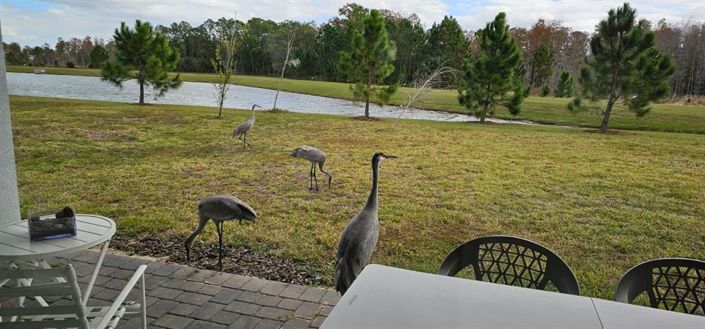 Image No.8-Maison de 4 chambres à vendre à Saint John
