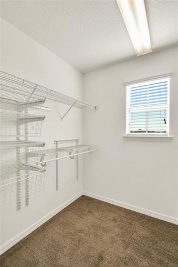 Image No.29-4 Bed House for sale