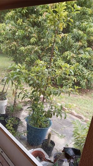 Image No.29-Maison de 3 chambres à vendre à Saint John