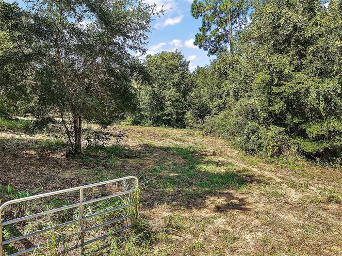 Image No.49-4 Bed House for sale