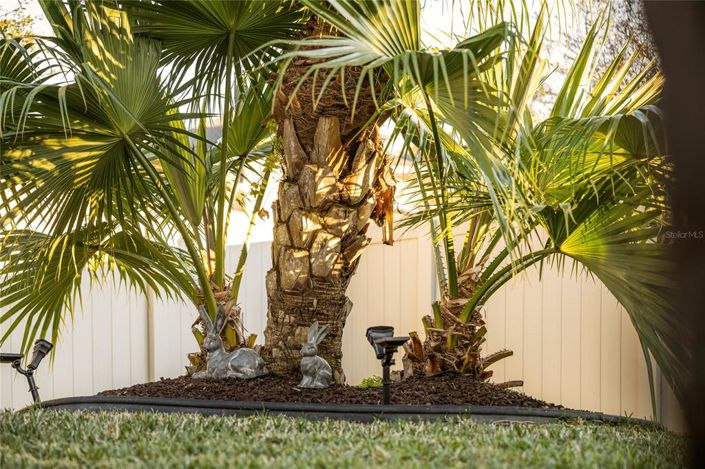 Image No.47-4 Bed House for sale