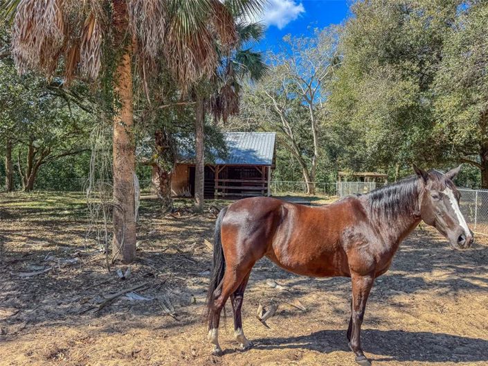 Image No.33-6 Bed House for sale